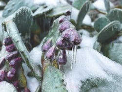 ice%20melting ice%20melting