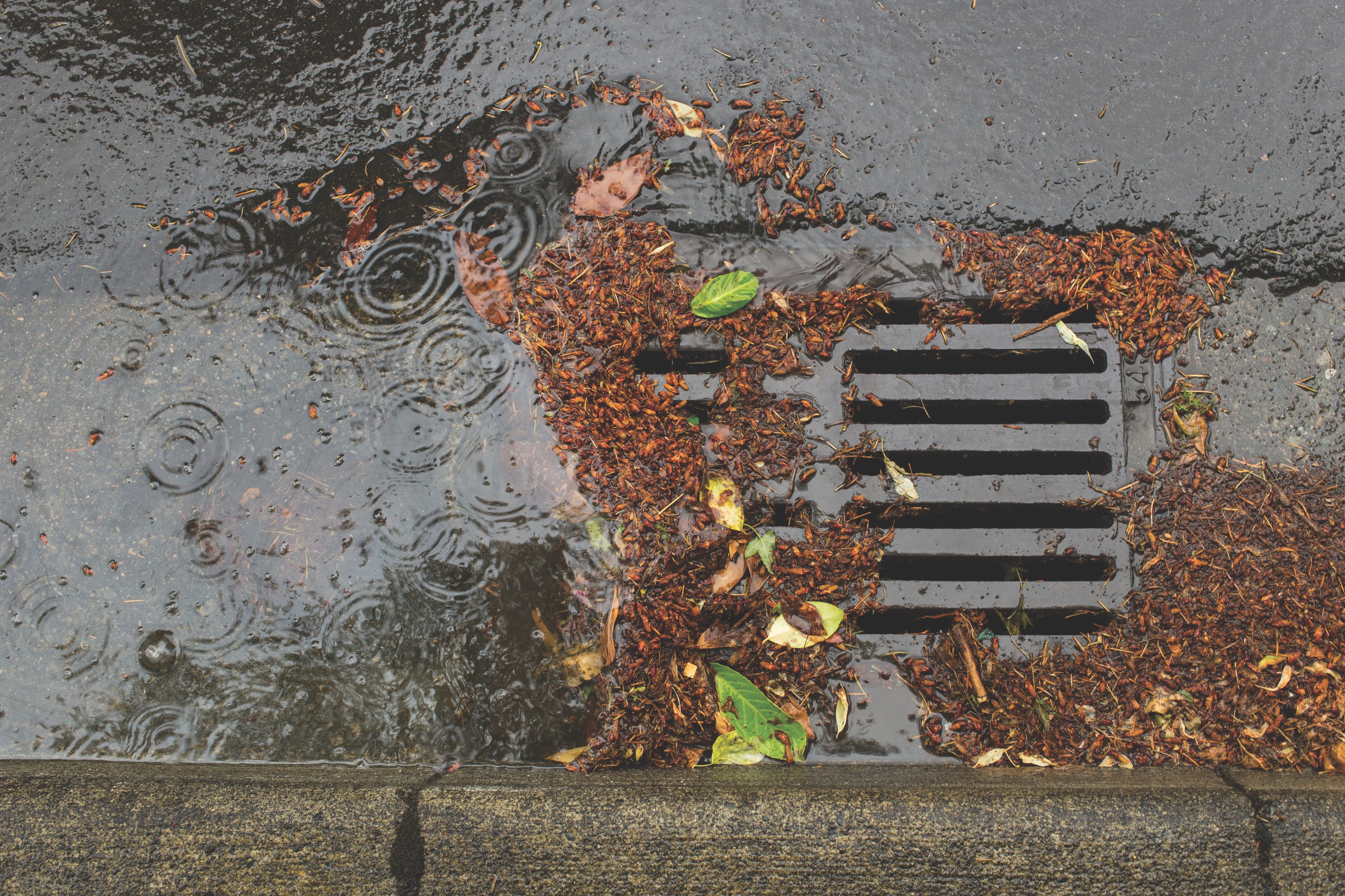 1655240578638 Stormwater