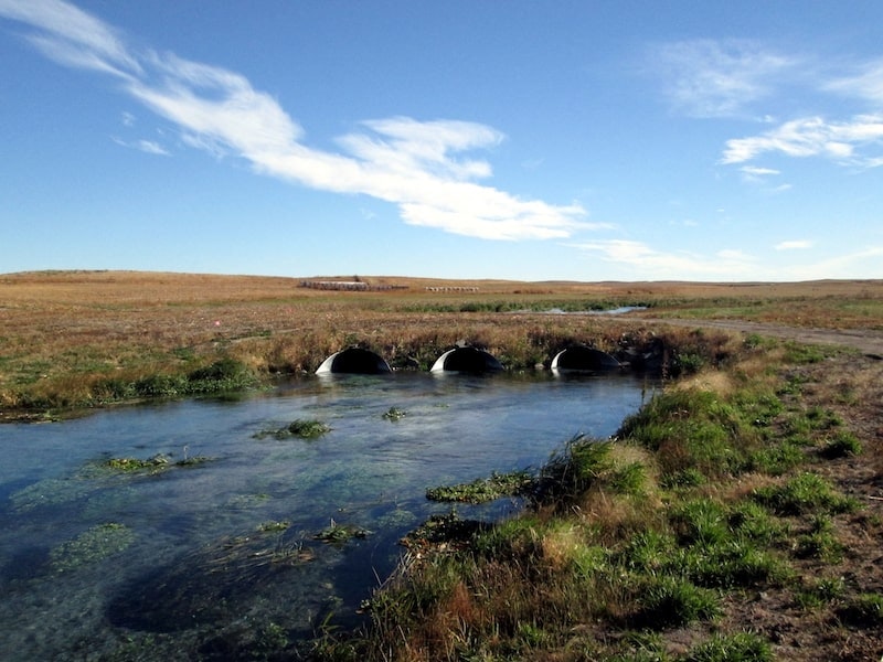 water-supplement-min