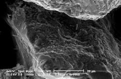 MicrosoftTeams-image%20%2826%29-min MicrosoftTeams-image%20%2826%29-min