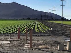 Pleasant%20Valley%20County%20Water%20District%20Irrigated%20Fields-min Pleasant%20Valley%20County%20Water%20District%20Irrigated%20Fields-min