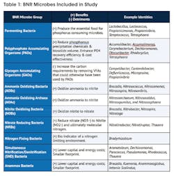 BNR%20microbes BNR%20microbes
