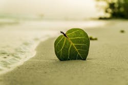 1655240598311 Whatisadenosinetriphosphateatpbeachg22fa12b09 1920min 1655240598311 Whatisadenosinetriphosphateatpbeachg22fa12b09 1920min