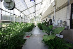 wastewater-discharge wastewater-discharge