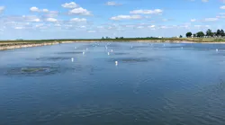 fine bubble aeration