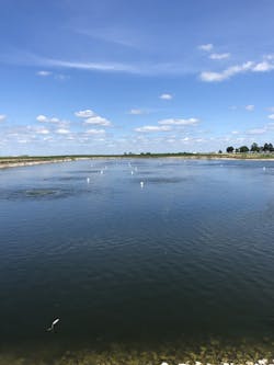 1655240603726 Fine Bubble Aeration 1655240603726 Fine Bubble Aeration