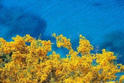 1655240613400 Whatispfasforeverchemicalsdrinkingwatercontamination 1655240613400 Whatispfasforeverchemicalsdrinkingwatercontamination