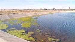 1655240618739 Esbdienbiorganictechnologiesebtmicrobeslagoontreatmentweyburnsaskatchewan 1655240618739 Esbdienbiorganictechnologiesebtmicrobeslagoontreatmentweyburnsaskatchewan