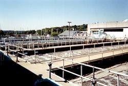 1655326323229 Sts Cow0506 Nl 1655326323229 Sts Cow0506 Nl