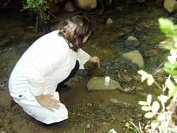 1655326324085 Eco Check Dipbsm 1655326324085 Eco Check Dipbsm