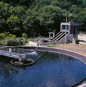 1655326327988 Clarifier250