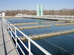 1655326328848 Jackson1s