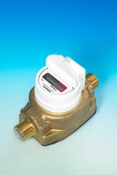 1655326334296 Cowimage