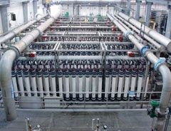 1655326342783 Layneoverall Rs