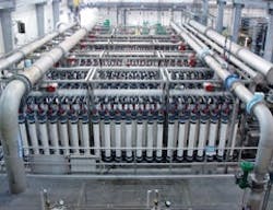 1655326342783 Layneoverall Rs 1655326342783 Layneoverall Rs