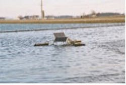 1655326347387 Picture2 Web1 1655326347387 Picture2 Web1