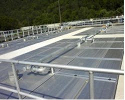 1655326349161 0415cow1web 1655326349161 0415cow1web