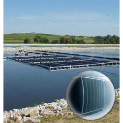 1655326359579 Biofilm Rs