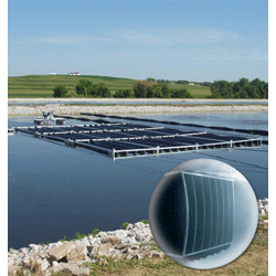 1655326359579 Biofilm Rs 1655326359579 Biofilm Rs