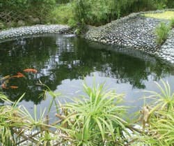 1655326362125 Reusing Rs 1655326362125 Reusing Rs