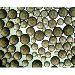 1655326382011 Puroliteweb 1655326382011 Puroliteweb