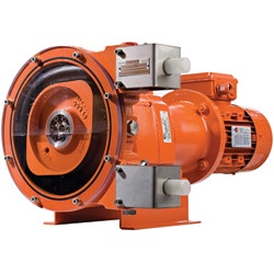 1655326400007 Wildenweb