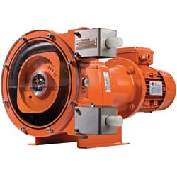 1655326400007 Wildenweb 1655326400007 Wildenweb