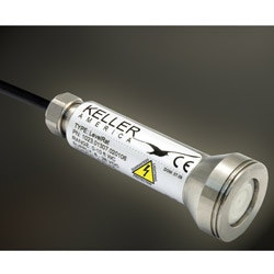 1655326404940 Kelleramericaedit