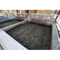 1655326407807 Siemensmbr Rs1 1655326407807 Siemensmbr Rs1