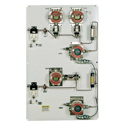 1655326408901 Msanorthamerica