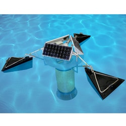 1655326422788 Solarbeephoto