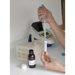 1655326423579 Checklight Web1 1655326423579 Checklight Web1