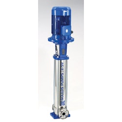 1655326433966 Gouldspumpsweb