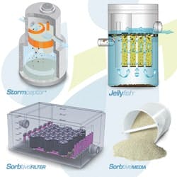 1655326434027 Imbriumweb 1655326434027 Imbriumweb