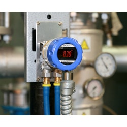 1655326435291 Ashcroftweb