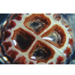 1655326435759 N 1655326435759 N