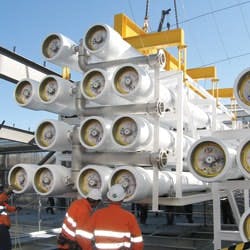 1655326444894 Koch Membrane1 1655326444894 Koch Membrane1