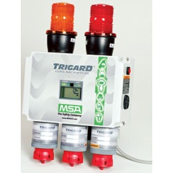 1655326451443 Msaweb1