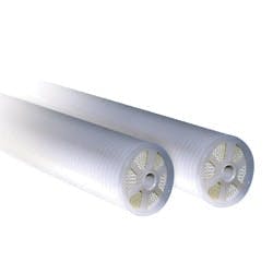 1655326473187 Trisepmembrane Rs 1655326473187 Trisepmembrane Rs