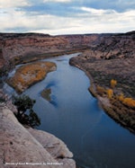 1655326540021 Corvr2