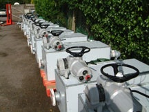 1655326541503 Sm7431