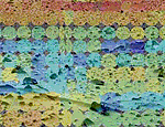 1655326549023 Wateronmars3