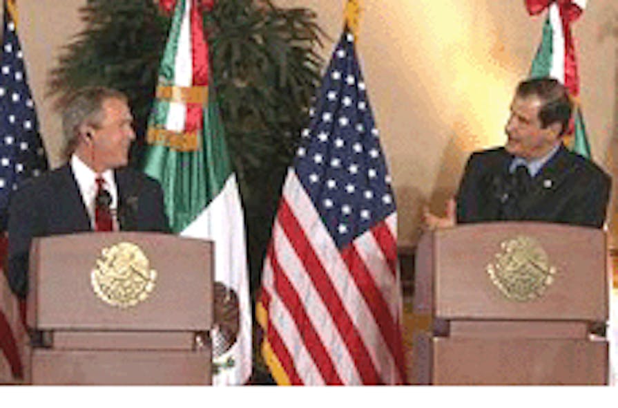 bush n fox 2
