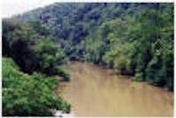 1655326550544 Images17 1655326550544 Images17