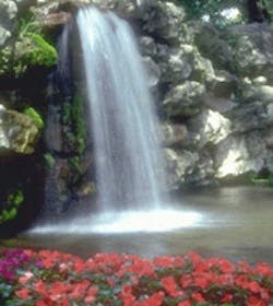 1655326552095 Flowers 1655326552095 Flowers