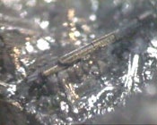 1655326554598 Webnewslead