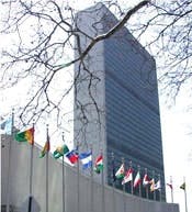 WEB-NEWS-UN-building