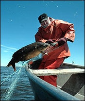 1655326565730 Water Everywhere