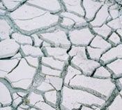 1655326566225 Webnewsdryriverbed