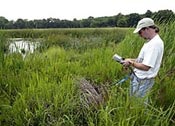 1655326569770 Wetlands